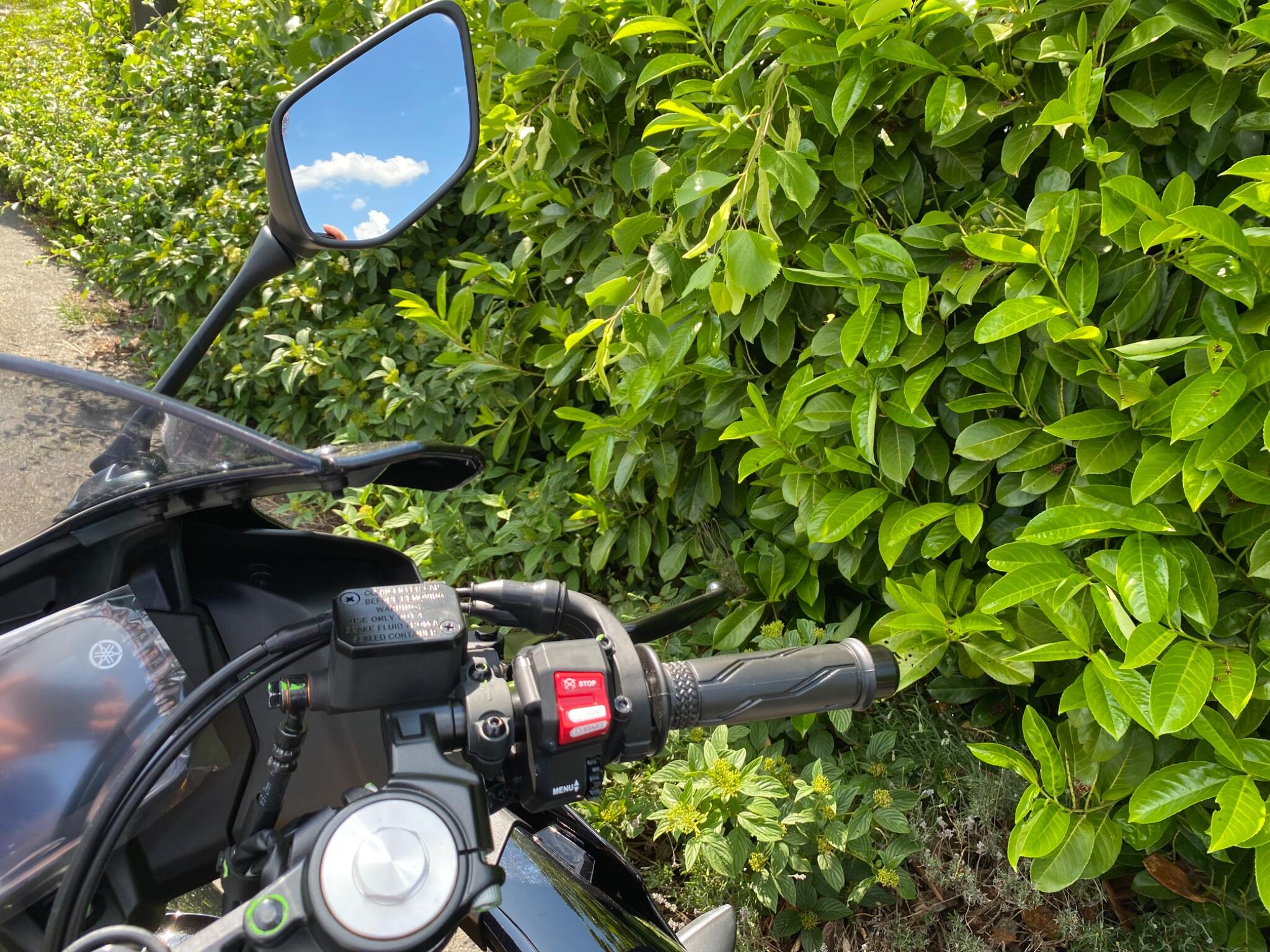 2026 Yamaha 125 Euro 5